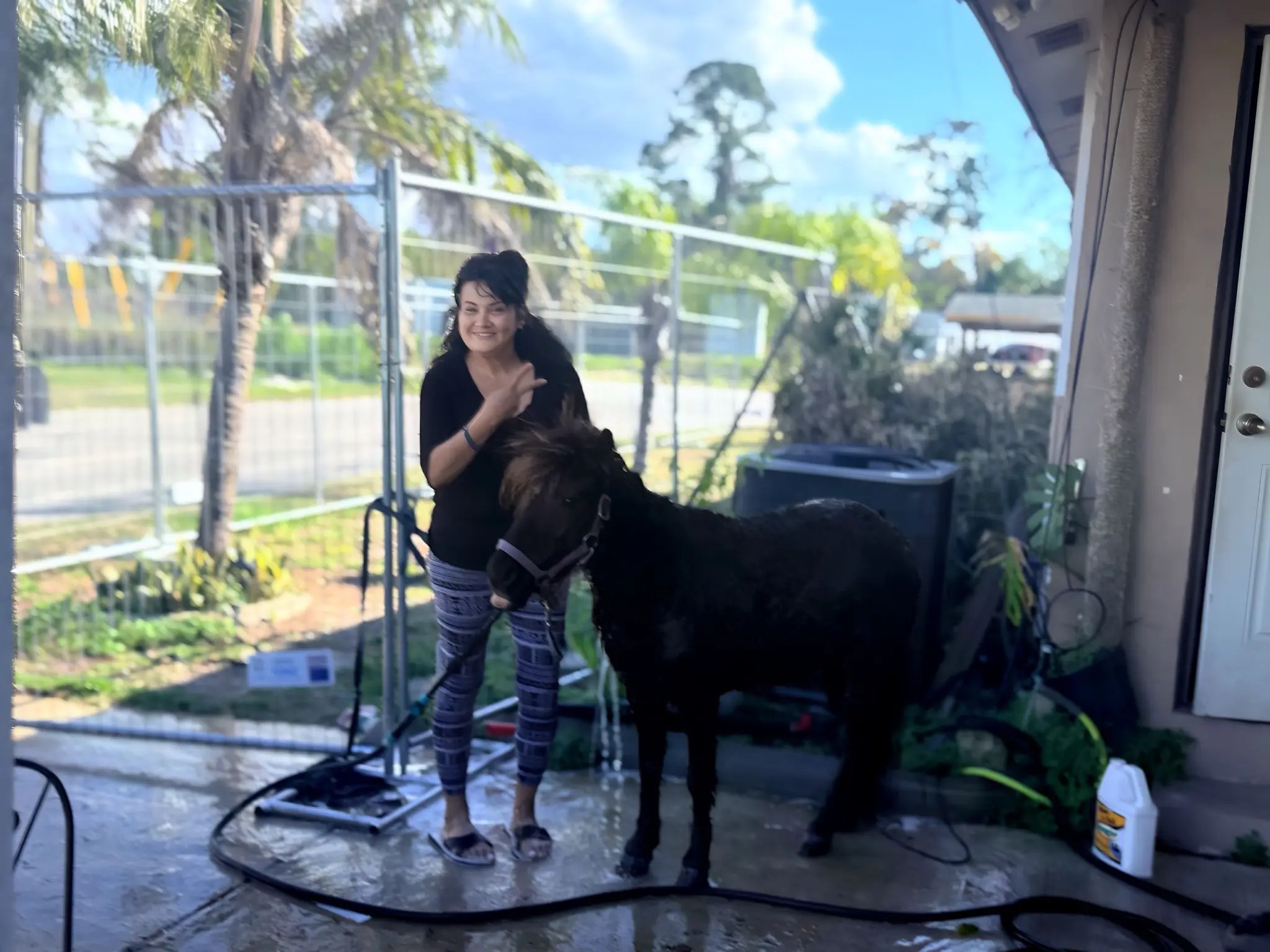 Animal assisted recovery with horse at Da Vinci Recovery