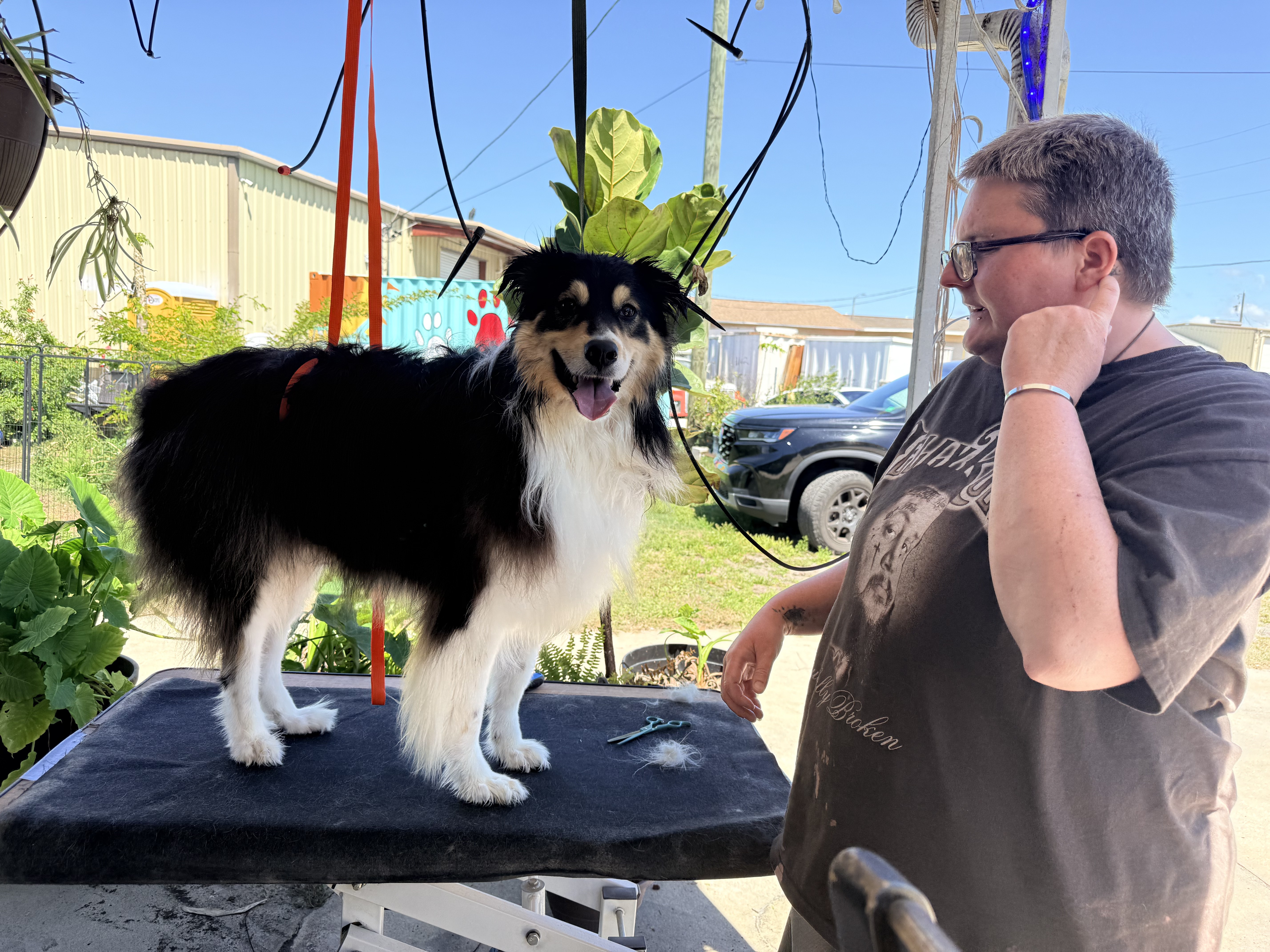 Before and after outdoor grooming at Da Vinci Unleashed